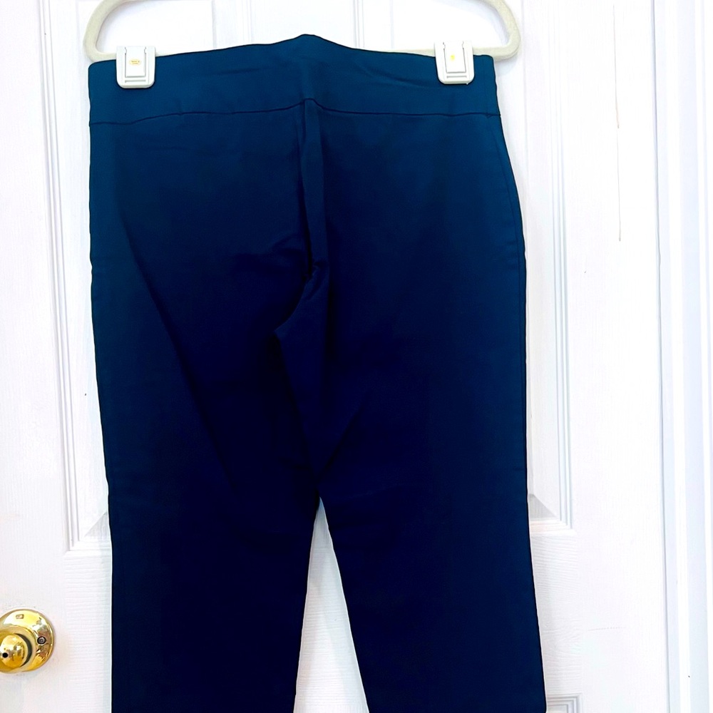 Alfani 14P Pants in color Blue